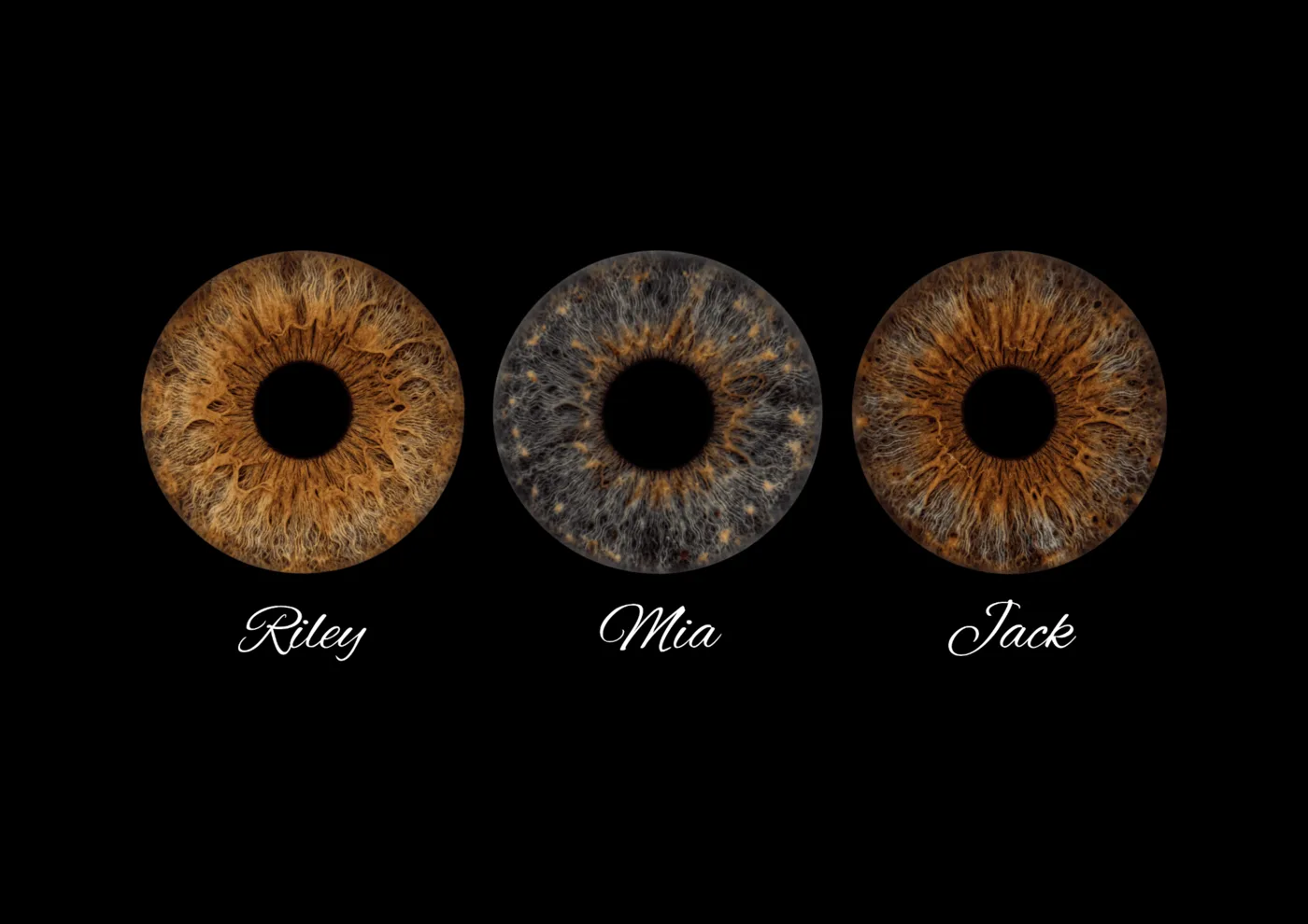 Custom iris art with individual names beneath three irises