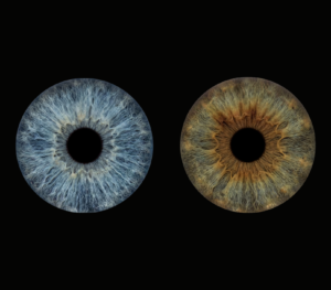 Minimalist and natural "Iris Art" composition: two pure human eye irises (dark brown and bright blue) isolated on a deep black background without any additional effects. This pure, realistic iris art online is ideal for emphasizing the natural beauty and texture of eyes. Exclusive wall decor and a meaningful online iris gift.