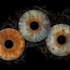 Three human eye irises (blue, greenish-brown, brown) joined in a powerful dusty explosion effect in bluish and yellowish tones on a black background. This meaningful piece is part of the iris art online collection, symbolizing the connection of souls and transformation. Order your online iris scan now and create an energetic accent for your home.