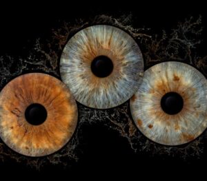 Three human eye irises (blue, greenish-brown, brown) joined in a powerful dusty explosion effect in bluish and yellowish tones on a black background. This meaningful piece is part of the iris art online collection, symbolizing the connection of souls and transformation. Order your online iris scan now and create an energetic accent for your home.