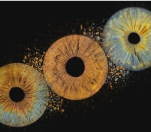 Powerful "Iris Art online" artwork: three human eye irises (grey-blue, yellowish, brown) joined by a powerful blue and yellowish dust explosion effect against a black background. This is unique iris art online, transforming the beauty of your eyes into an energetic and colorful masterpiece. The online iris service allows you to order such personalized artworks online.