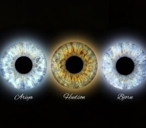 Minimalist and natural "Iris Art online" composition: three human eye irises (blue, brown, yellowish-brown) forming a vibrant infinity symbol on a black background. This meaningful piece is part of the iris art online collection, symbolizing eternal connection. Order your online iris scan now.