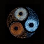 Artistic "Iris Photography" composition: three human eye irises (blue, brown, yellowish) forming a vibrant tricolor swirl on a black background. This meaningful piece is part of the iris art online collection, symbolizing soul harmony and spiritual resonance. Order your online iris scan now.