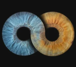 Minimalist and natural "Iris Art online" composition "Infinite Us": two human eye irises (blue and yellowish-brown) forming an infinity symbol on a black background. This meaningful piece is part of the iris art online collection, symbolizing eternal connection. Order your online iris scan now and create a spiritual accent for your home.
