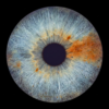 Natural and minimalist "Iris Photography" composition: human eye iris merging blue and yellowish-brown colors resembling a Yin and Yang symbol on a black background. This pure, realistic iris art online is ideal for emphasizing natural beauty and eye texture. Exclusive wall decor and a meaningful online iris gift.