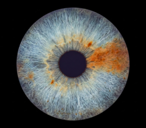 Natural and minimalist "Iris Photography" composition: human eye iris merging blue and yellowish-brown colors resembling a Yin and Yang symbol on a black background. This pure, realistic iris art online is ideal for emphasizing natural beauty and eye texture. Exclusive wall decor and a meaningful online iris gift.