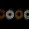 A unique Iris Art piece: four human eye irises arranged horizontally against a deep black background, surrounded by personalized constellation outlines and sparkling stars. This meaningful piece is part of the iris art online collection, symbolizing the souls' connection with the universe and astronomy. Order your online iris scan now and capture your gaze among the stars.