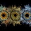 Three human eye irises (blue, brown, greenish) joined by a powerful yellowish and bluish dust explosion effect on a black background. This is unique iris art online, transforming the beauty of your eyes into an energetic and colorful masterpiece. The online iris service allows you to order such personalized artworks online.