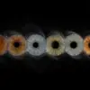 Custom matched iris art photography featuring six human eye irises aligned in a horizontal row against a deep black background. The unique detailed iris patterns include cool blue, deep brown, hazel, and green irises, each surrounded by a customized explosion of fine swirling white stardust particles and mist. The surrounding cosmic dust colors are personalized to match the natural pigments within each specific iris. This high-end bespoke wall art print visualizes a profound family bond or friendship connection, suitable for a personalized, atmospheric home decor gallery.