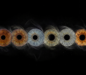 Custom matched iris art photography featuring six human eye irises aligned in a horizontal row against a deep black background. The unique detailed iris patterns include cool blue, deep brown, hazel, and green irises, each surrounded by a customized explosion of fine swirling white stardust particles and mist. The surrounding cosmic dust colors are personalized to match the natural pigments within each specific iris. This high-end bespoke wall art print visualizes a profound family bond or friendship connection, suitable for a personalized, atmospheric home decor gallery.