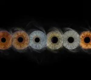 Custom matched iris art photography featuring six human eye irises aligned in a horizontal row against a deep black background. The unique detailed iris patterns include cool blue, deep brown, hazel, and green irises, each surrounded by a customized explosion of fine swirling white stardust particles and mist. The surrounding cosmic dust colors are personalized to match the natural pigments within each specific iris. This high-end bespoke wall art print visualizes a profound family bond or friendship connection, suitable for a personalized, atmospheric home decor gallery.