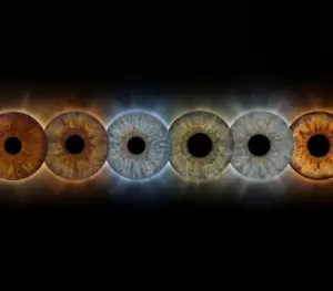 Custom matched iris art photography featuring six detailed human eye irises aligned in a precise horizontal row against a deep black background. The unique and intricate iris patterns include light blue, brown, green, and hazel irises, each surrounded by a customized, continuous 'eclipse-style' corona of bright, radiant light halos. This radiant stardust aura dynamically transitions personalized from deep copper-gold on the outer edges to cool nebula blue in the center, meticulously custom matched to the natural pigments within each specific iris. This high-end bespoke wall art print visualizes a profound family bond or friendship connection, suitable for a sophisticated, atmospheric home decor gallery celebrating hidden light.