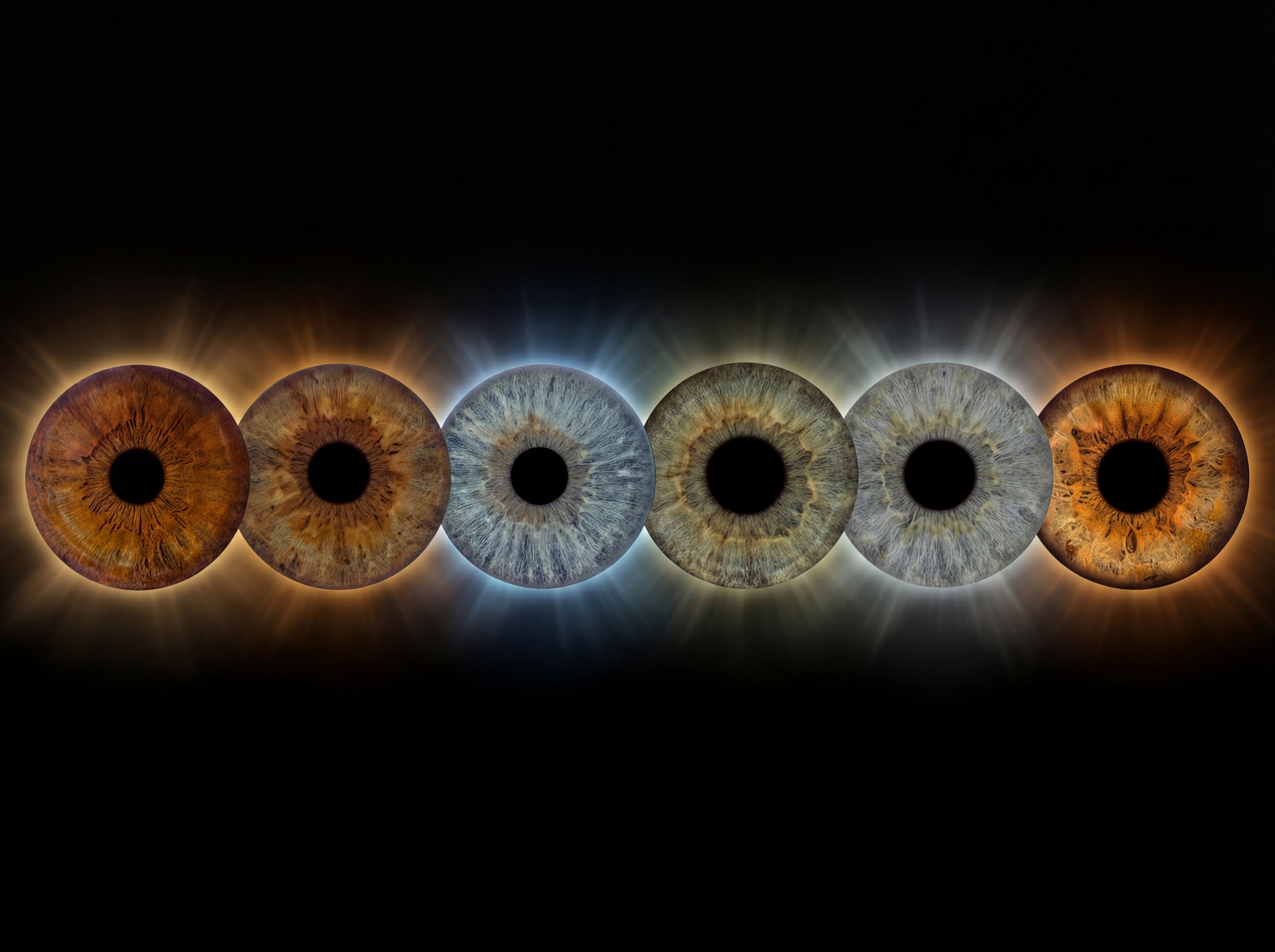 Custom matched iris art photography featuring six detailed human eye irises aligned in a precise horizontal row against a deep black background. The unique and intricate iris patterns include light blue, brown, green, and hazel irises, each surrounded by a customized, continuous 'eclipse-style' corona of bright, radiant light halos. This radiant stardust aura dynamically transitions personalized from deep copper-gold on the outer edges to cool nebula blue in the center, meticulously custom matched to the natural pigments within each specific iris. This high-end bespoke wall art print visualizes a profound family bond or friendship connection, suitable for a sophisticated, atmospheric home decor gallery celebrating hidden light.