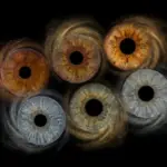 Custom matched iris art photography featuring six highly detailed human eye irises clustered in an asymmetric, organic constellation against a deep black background. The unique and intricate iris patterns include various light blue, deep brown, hazel, and green irises. Each iris is surrounded by a personalized, swirling cosmic galaxy of fine stardust particles. The surrounding stardust color is transitionally personalized from rich copper-gold around the warmer-toned irises to cool silver stardust around the blue-toned irises, meticulously custom matched to the natural pigments within each specific iris. This high-end bespoke wall art print visualizes a profound family bond or friendship connection, suitable for a sophisticated, personalized home decor gallery celebrating individual beauty and unity.