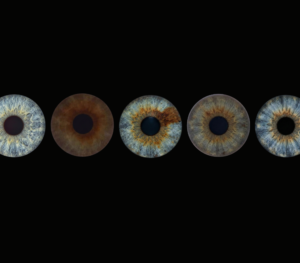 Custom iris art photography featuring five detailed human eye irises aligned horizontally against a pure, deep black background with no special effects. The unique and intricate iris patterns include light blue, brown, hazel, and green irises, presented in absolute clarity and raw detail. This minimalist wall art print visualizes a profound family bond or friendship connection, suitable for a sophisticated, purist home decor gallery that celebrates natural beauty and unfiltered connection.