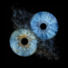 Unique Iris Photography artwork: two blue human eye irises on a black background, merged by a dramatic dust explosion effect. Detailed macro photography highlighting individual iris patterns, perfect for modern interiors and personalized gifts.