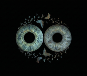 An artistic infinity symbol created from two detailed greenish-blue human eye irises surrounded by a flock of butterflies on a black background. This is unique iris art online, symbolizing eternal beauty and transformation. The online iris service allows you to order such personalized artworks online.