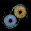 Unique iris art online: two contrasting human eye irises – bright blue and yellowish brown – merged into an artistic composition with dynamic water splashes on a black background. Detailed macro photography highlighting individual iris patterns, now available as an online iris service for personalized gifts.