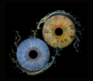 Unique iris art online: two contrasting human eye irises – bright blue and yellowish brown – merged into an artistic composition with dynamic water splashes on a black background. Detailed macro photography highlighting individual iris patterns, now available as an online iris service for personalized gifts.
