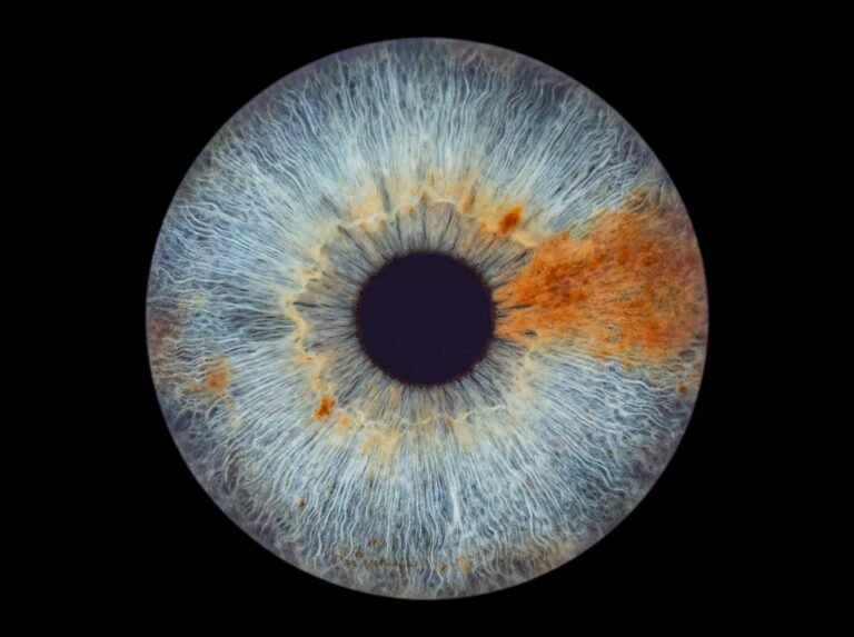 Amber Horizon custom single iris photography artwork featuring one real blue eye iris with warm amber details on a black background.