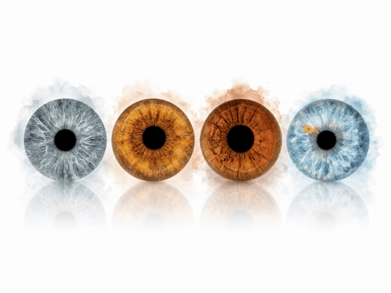 Gentle Reflections personalized family iris art showing four real eye irises with soft mirrored reflections on a clean white background.