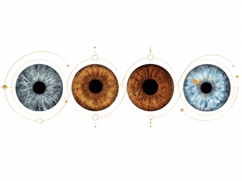 Golden Symmetry personalized four iris portrait with real family eyes arranged inside refined golden geometric circles on white.