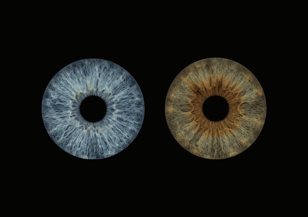 Naked custom couple iris photography artwork featuring two real eye irises without added effects, highlighting the natural iris patterns and details on a black background.