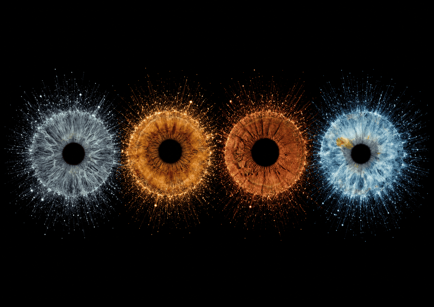 Stardust Kinship custom four iris photography artwork featuring four family eyes glowing through blue and golden stardust on black.