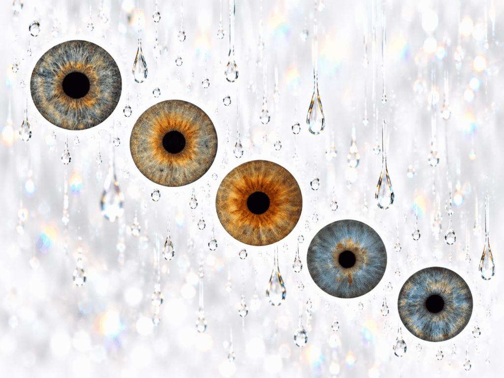 Five custom irises surrounded by clear prismatic raindrops on a bright white background.