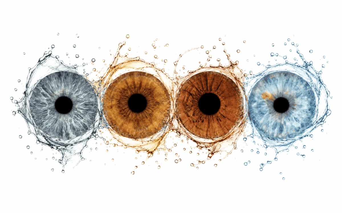 Circles in Motion custom eye photography portrait featuring four family irises connected by elegant watercolor circles on a white background.