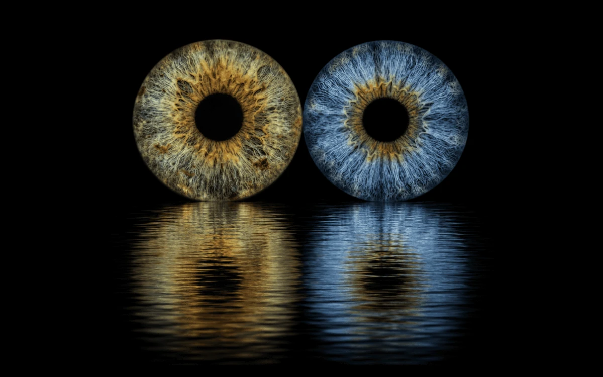 custom couple iris photography artwork featuring two real eye irises transformed into personalized eye art for couples, anniversaries and meaningful gifts.