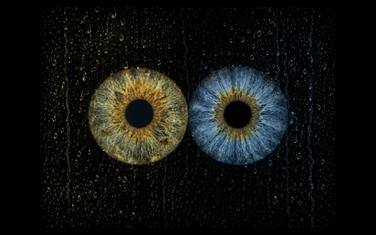 custom couple iris photography artwork featuring two real eye irises transformed into personalized eye art for couples, anniversaries and meaningful gifts.