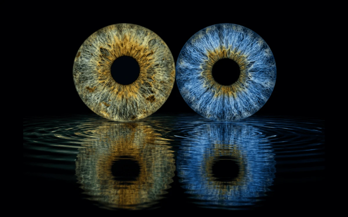 custom couple iris photography artwork featuring two real eye irises transformed into personalized eye art for couples, anniversaries and meaningful gifts.