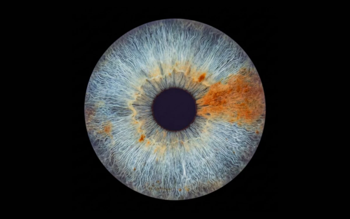 Amber Horizon custom single iris photography artwork featuring one real blue eye iris with warm amber details on a black background.