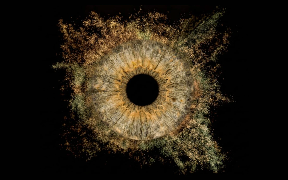 Golden Bloom custom single iris art featuring one real hazel and gold eye iris surrounded by elegant golden burst textures on a black background.