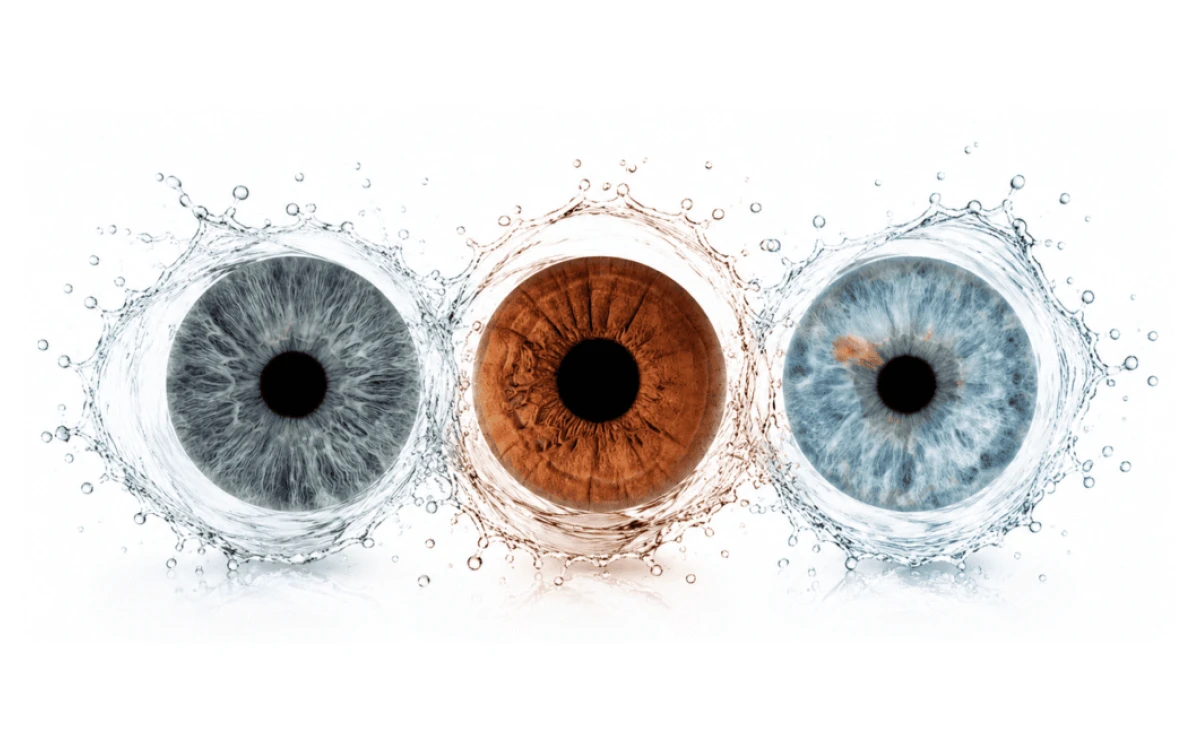 Circles of Us personalized iris photography portrait with three family irises framed by delicate circular watercolor splashes on white.